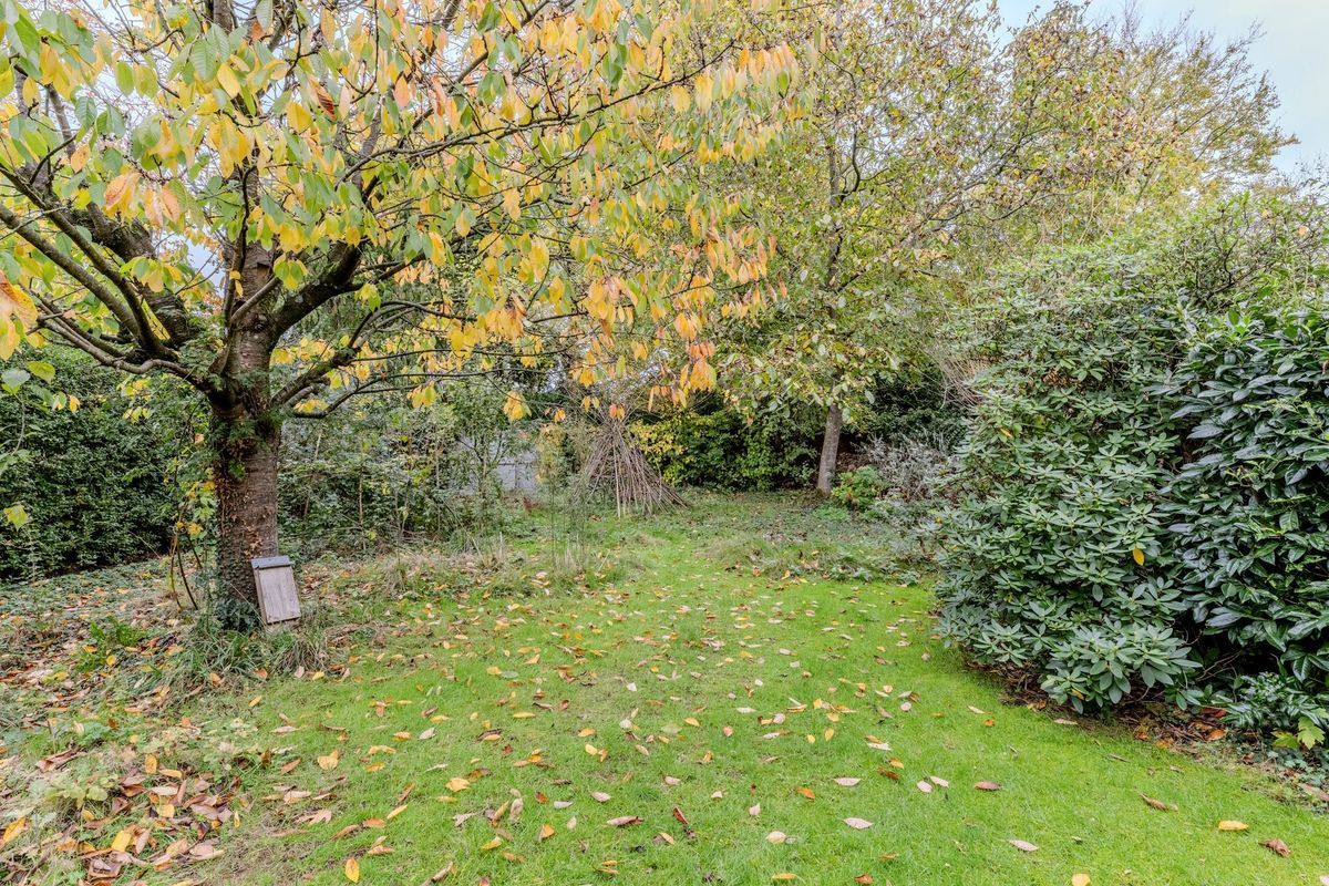 Hoogstraat 117 Photo Blur 31