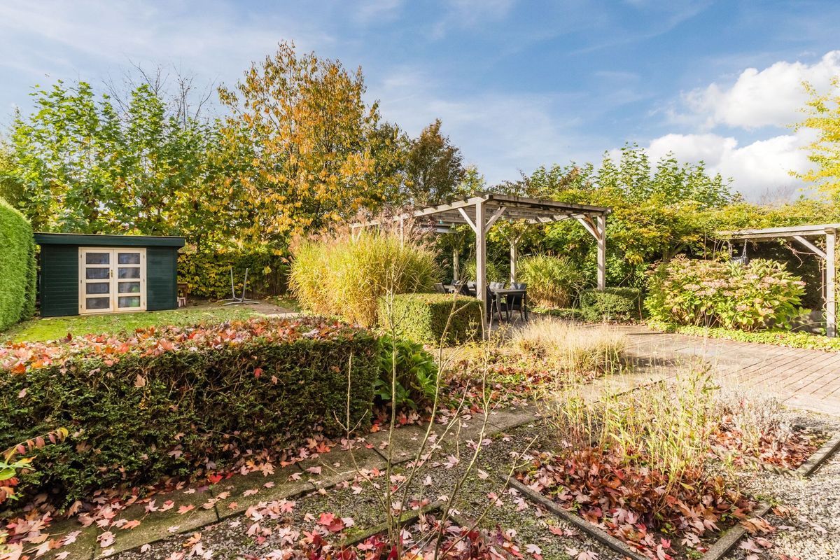 Fili 4 Photo Blur 66