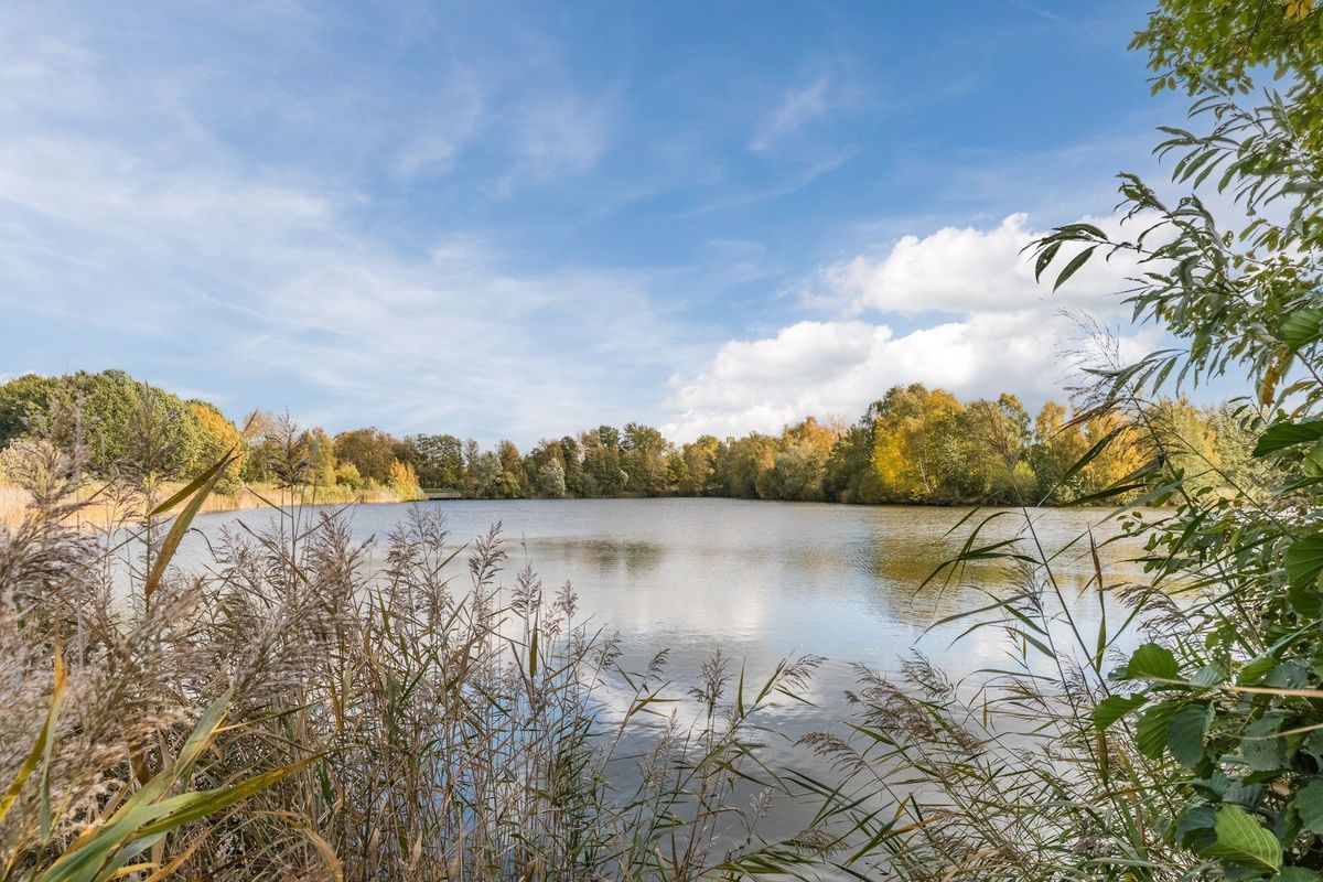 Fili 4 Photo Blur 91