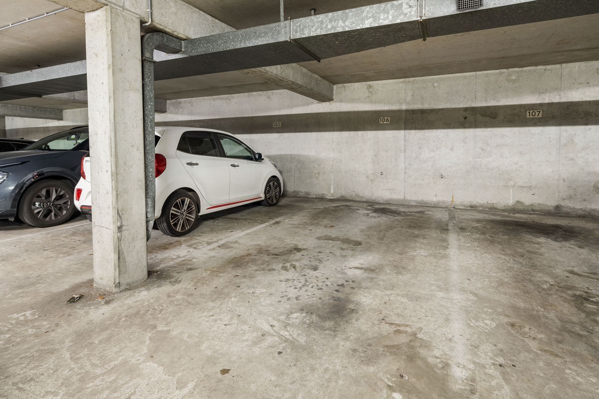 t' Sas 22 Photo Blur 53