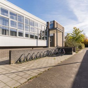 Mendelssohnlaan 3 - F Photo 4