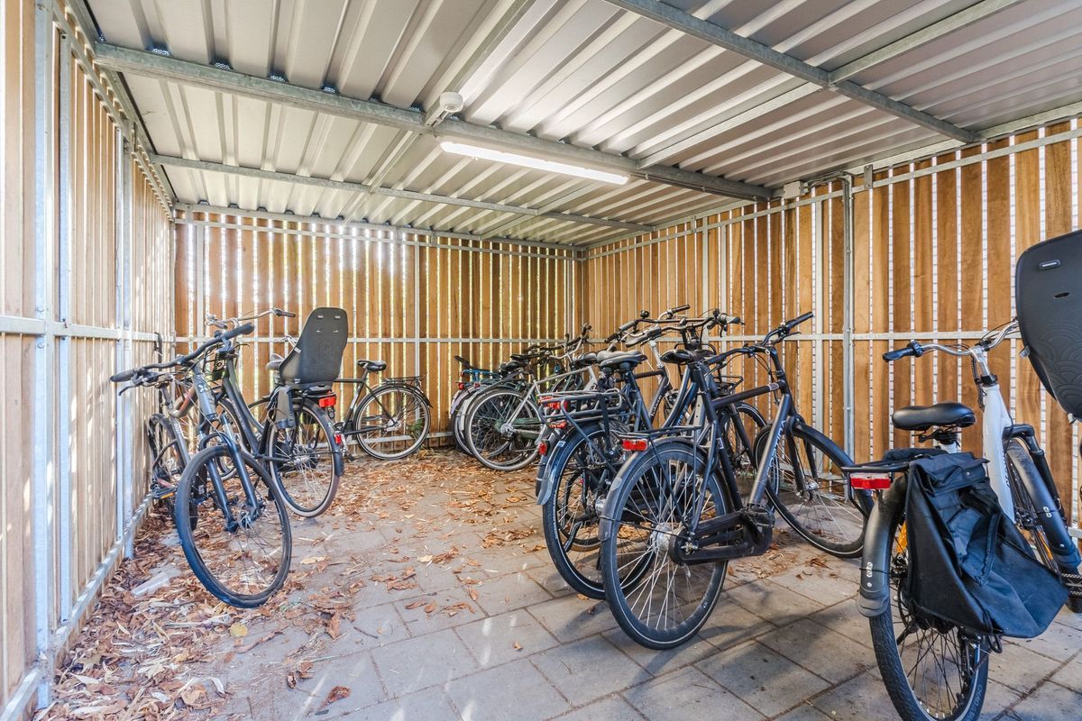 Mendelssohnlaan 3 - F Photo Blur 22