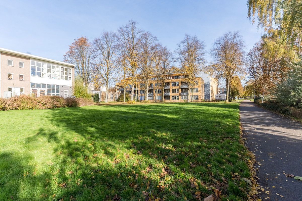 Mendelssohnlaan 3 - F Photo Blur 28