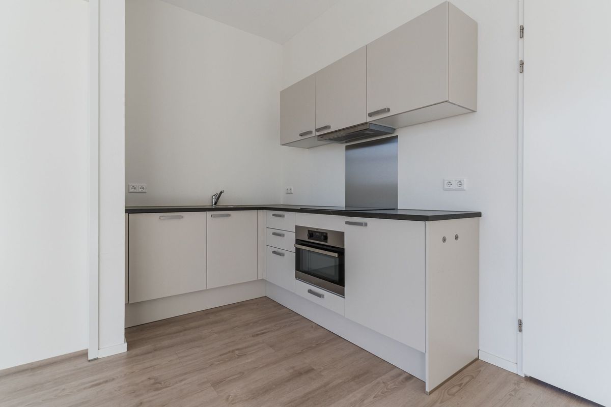 Mendelssohnlaan 3 - M Photo Blur 14