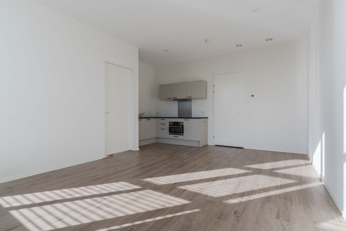 Mendelssohnlaan 3 - M Photo Blur 12