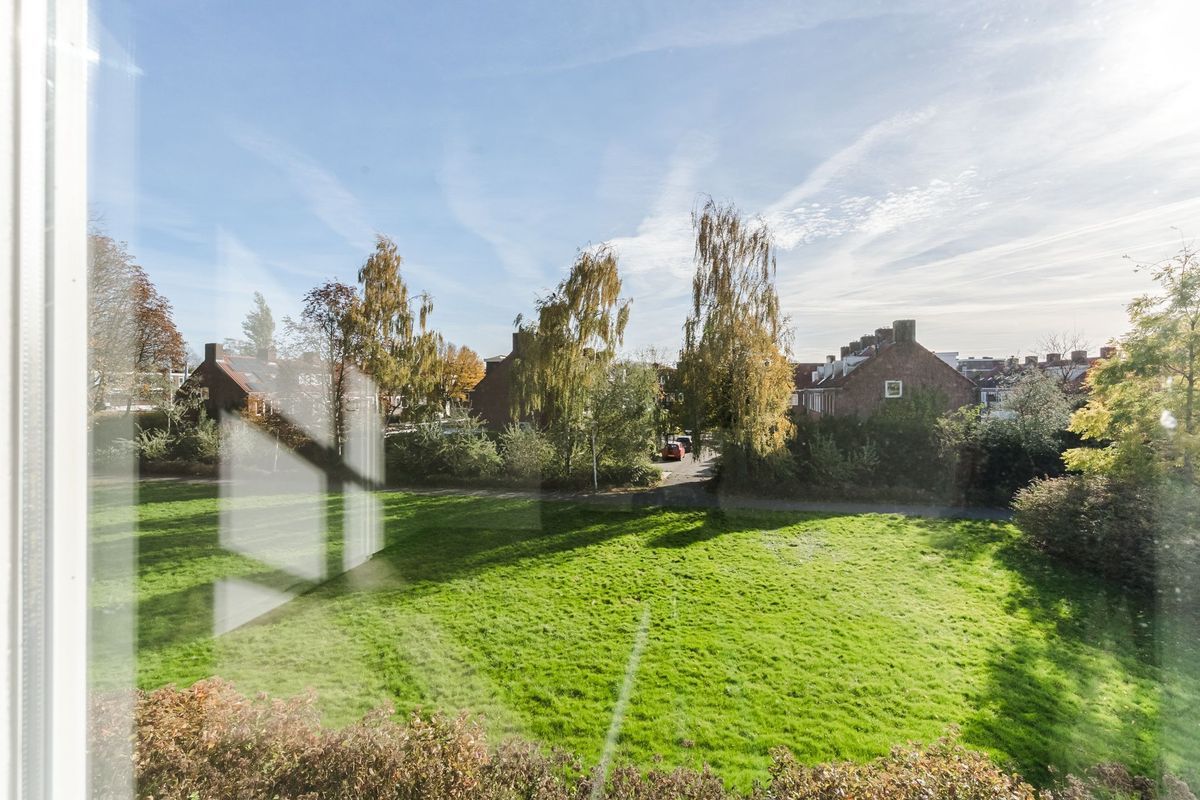 Mendelssohnlaan 3 - M Photo Blur 18