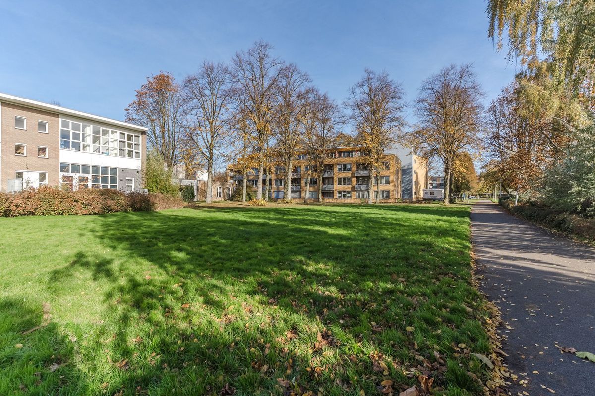 Mendelssohnlaan 3 - M Photo Blur 32