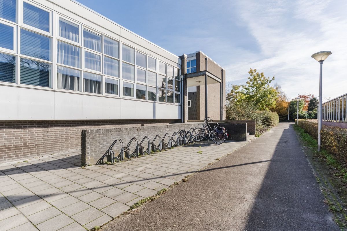 Mendelssohnlaan 3 - J Photo Blur 2