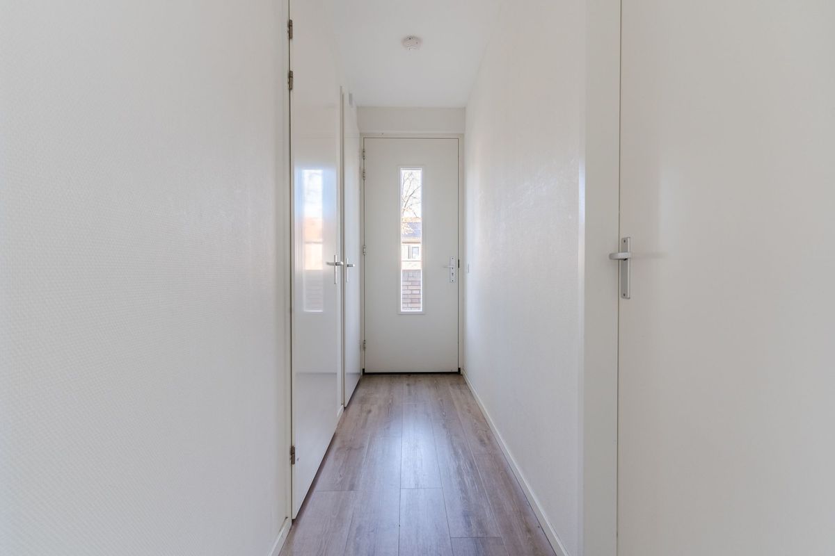 Mendelssohnlaan 3 - J Photo Blur 7