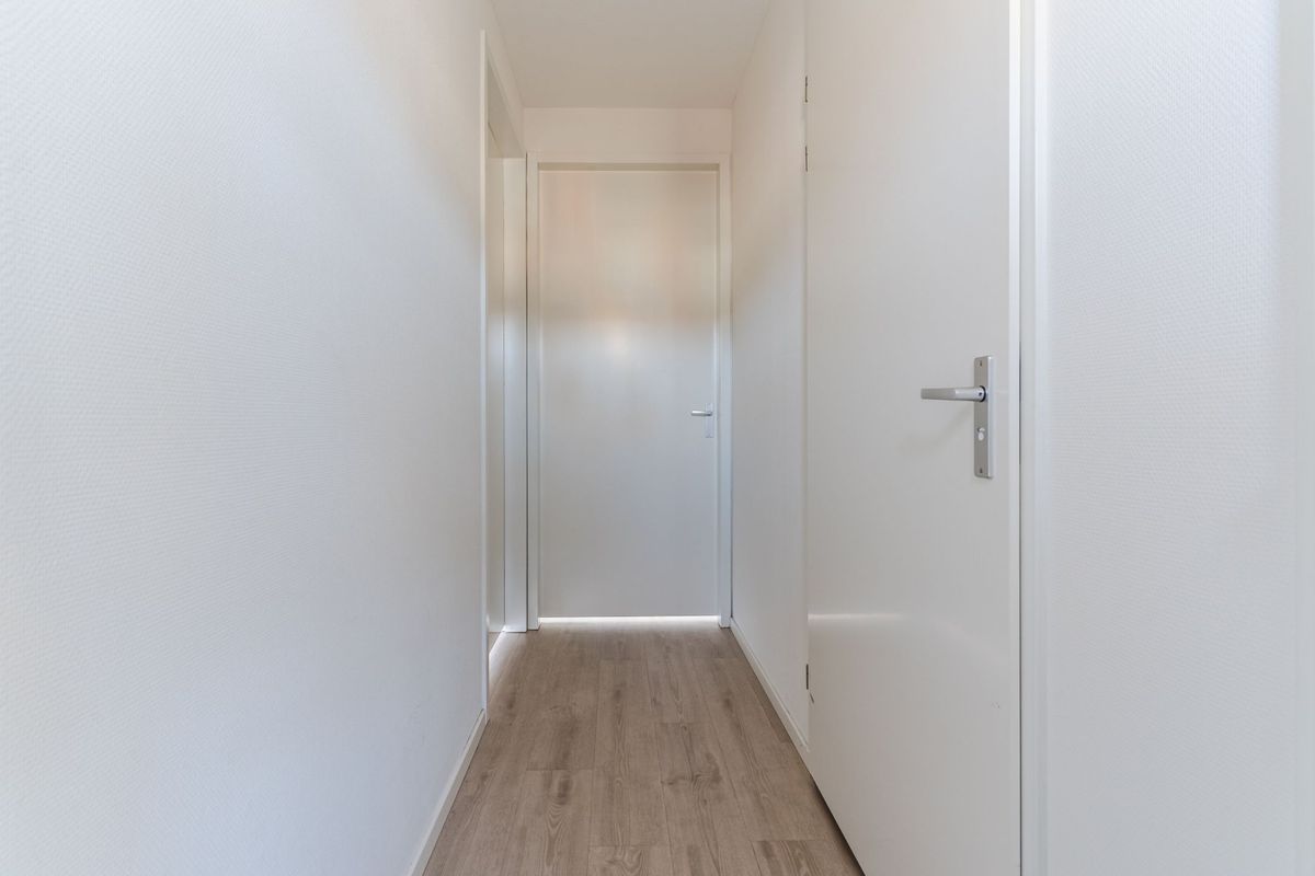 Mendelssohnlaan 3 - J Photo Blur 8