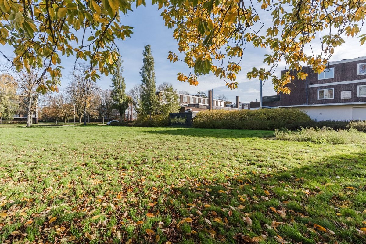 Mendelssohnlaan 3 - J Photo Blur 30