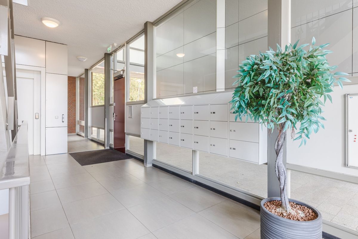 Julianastraat 42 Photo Blur 10