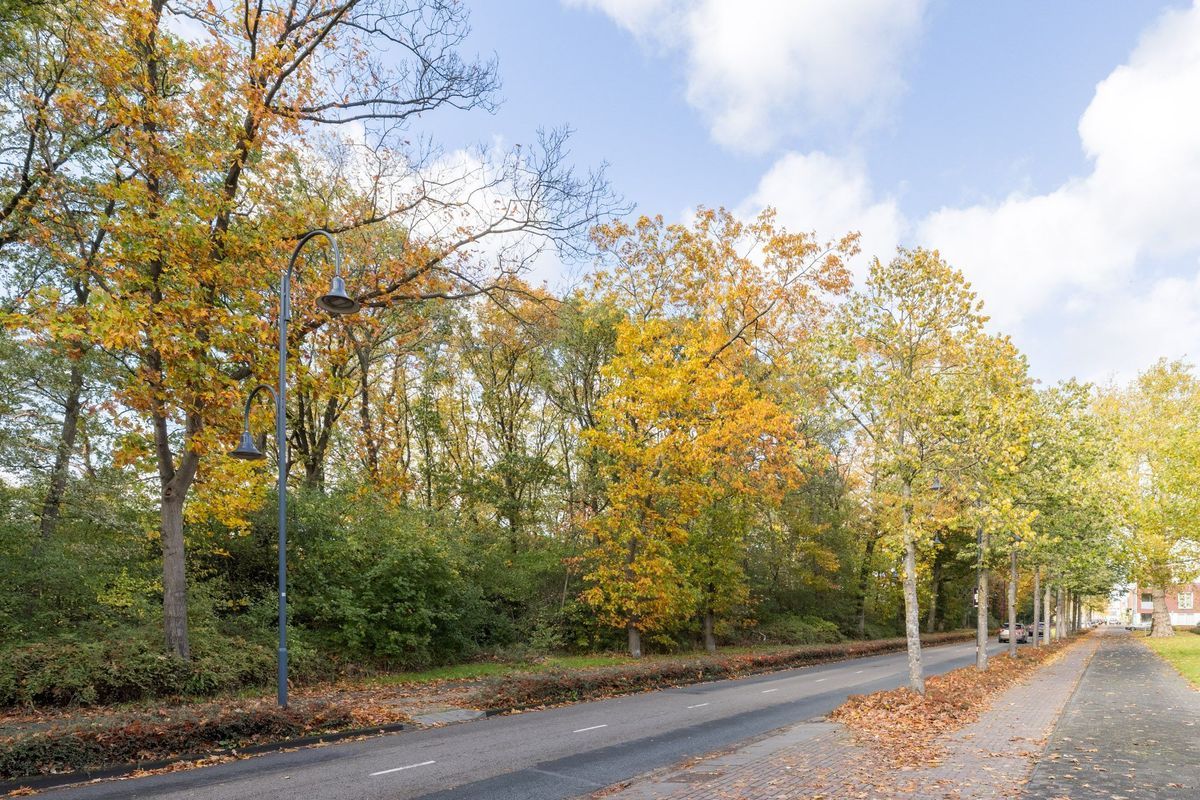 Julianastraat 42 Photo Blur 40