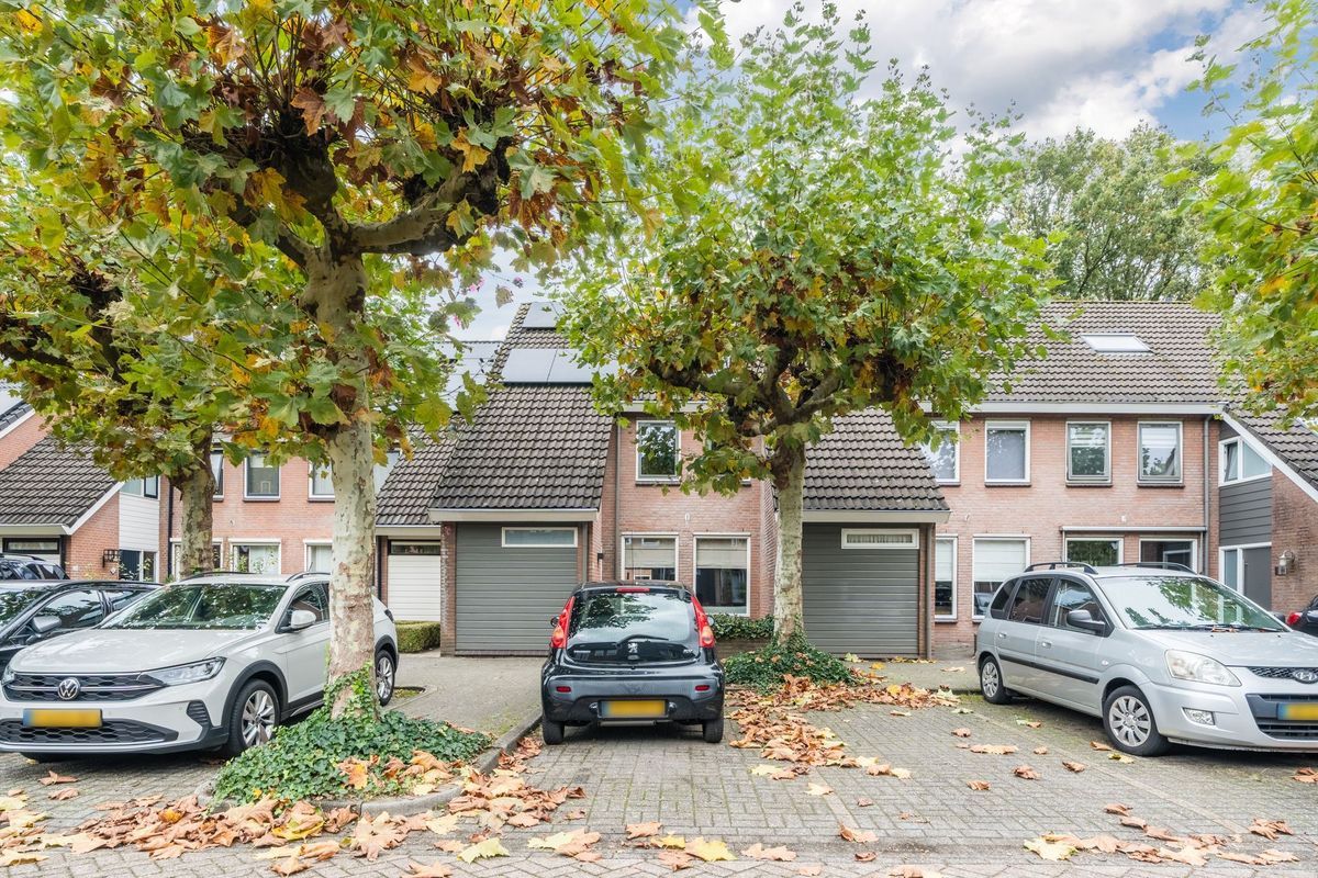 Wit Hollandven 20 Photo Blur 36