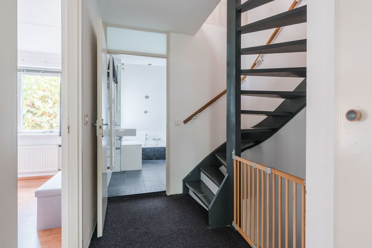 Wit Hollandven 20 Photo Blur 15