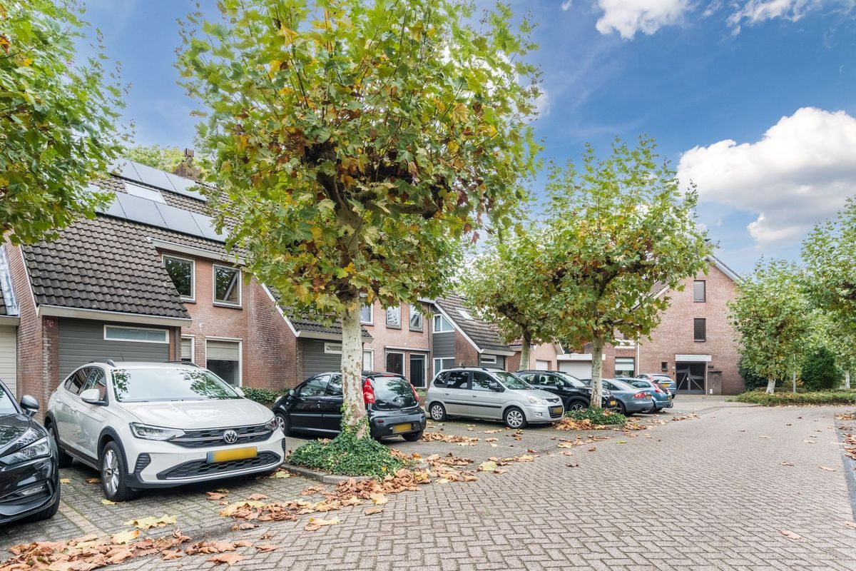 Wit Hollandven 20 Photo Blur 35