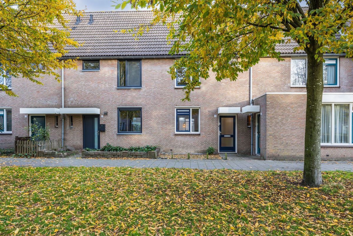 Wijngaard 10 Photo Blur 40