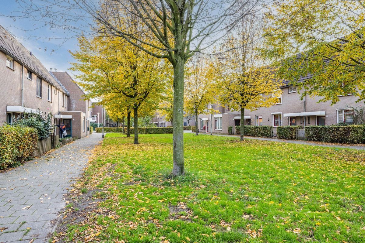 Wijngaard 10 Photo Blur 37