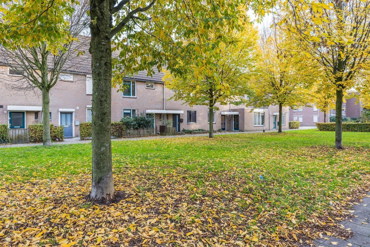 Wijngaard 10 Photo Blur 38