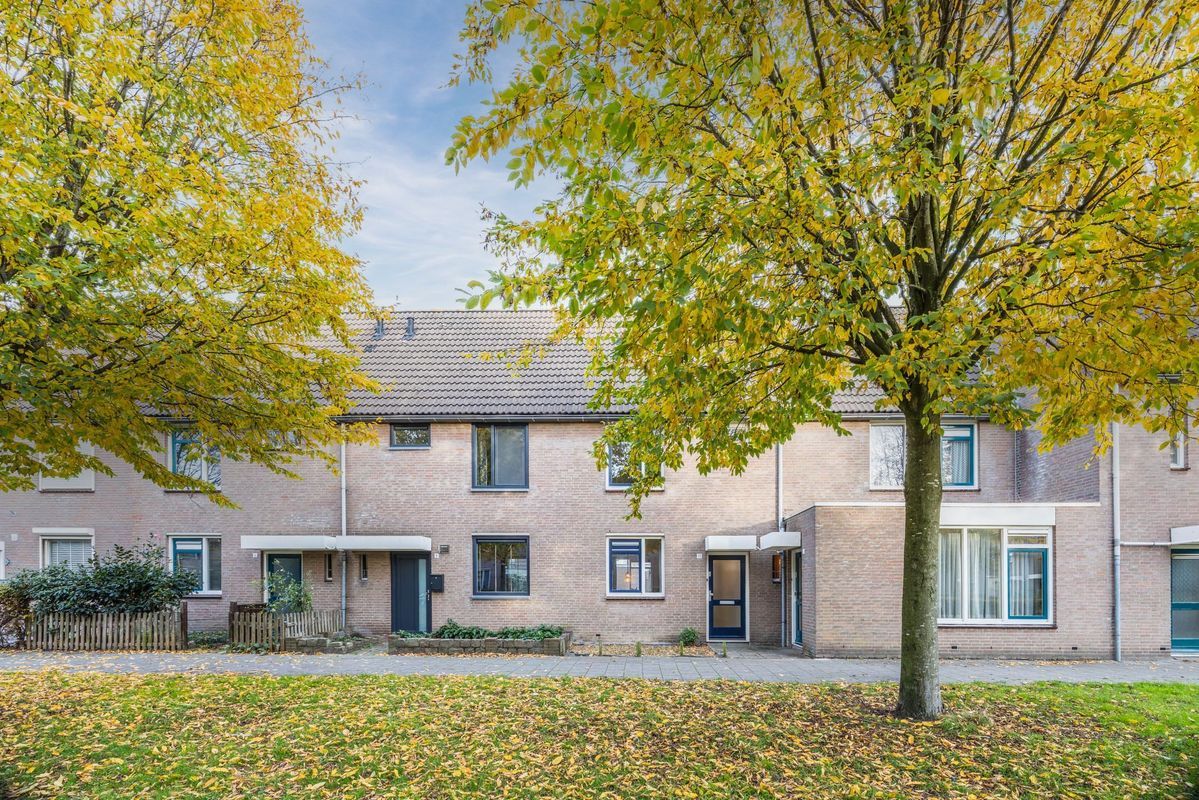 Wijngaard 10 Photo Blur 0