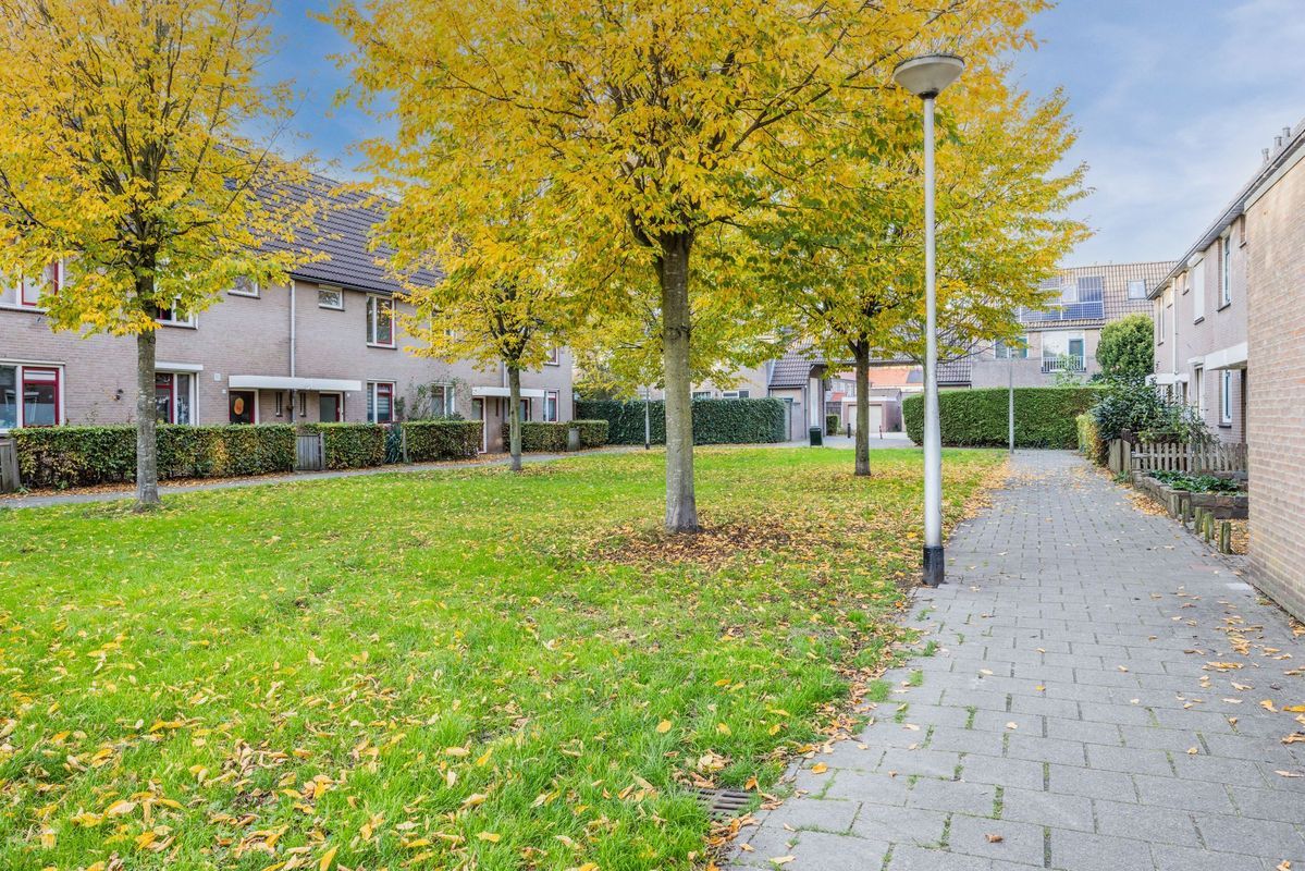 Wijngaard 10 Photo Blur 39