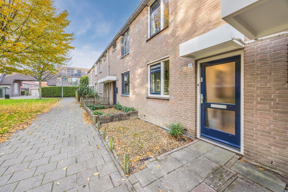 Wijngaard 10 Photo Blur 41