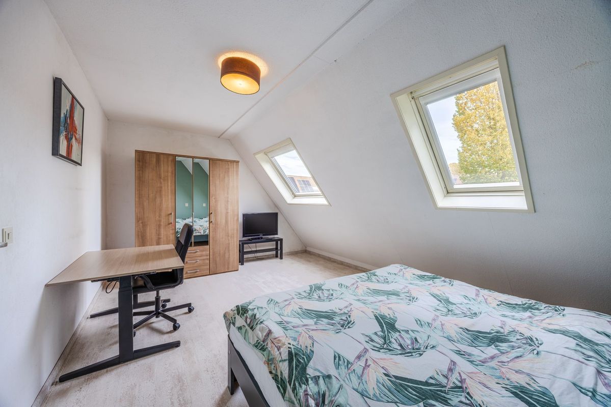 Wijngaard 10 Photo Blur 16