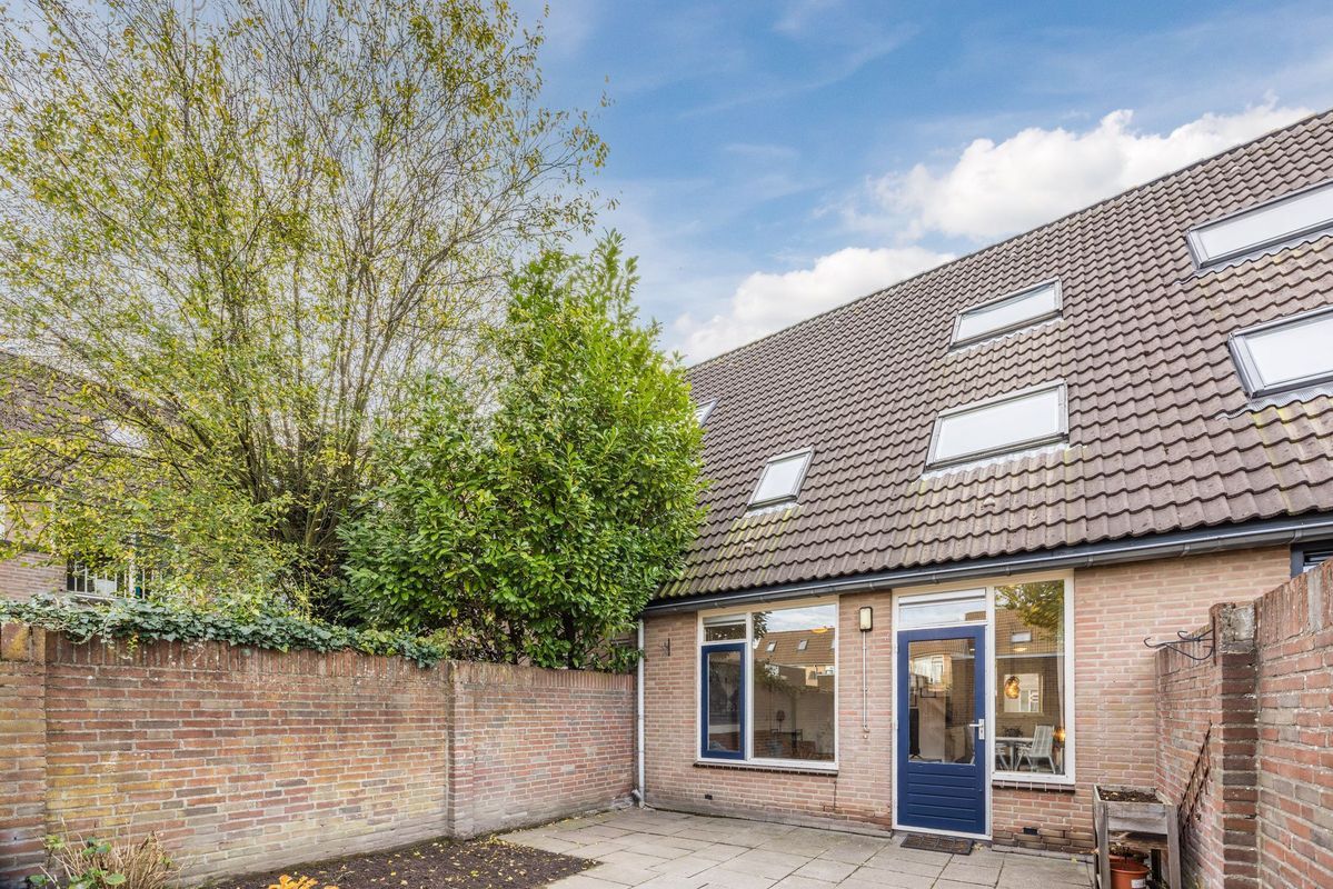 Wijngaard 10 Photo Blur 31