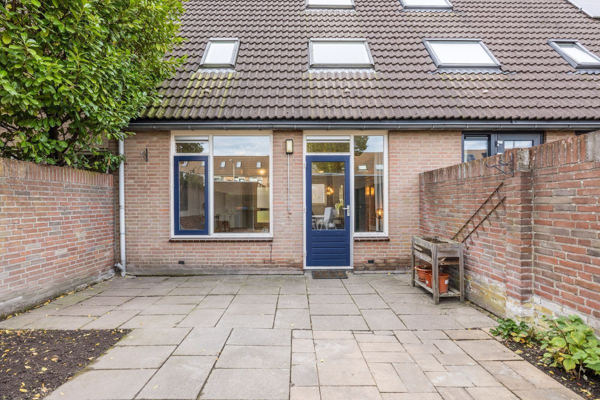 Wijngaard 10 Photo Blur 29