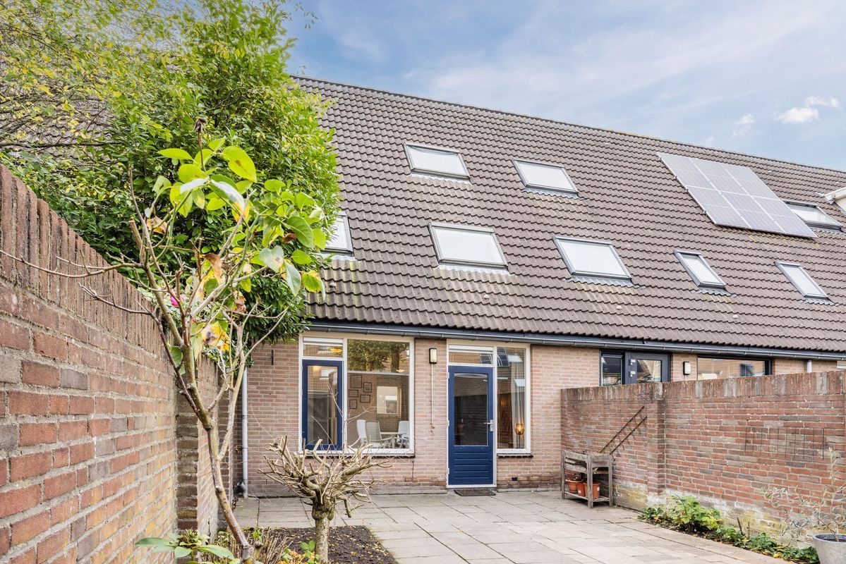 Wijngaard 10 Photo Blur 34