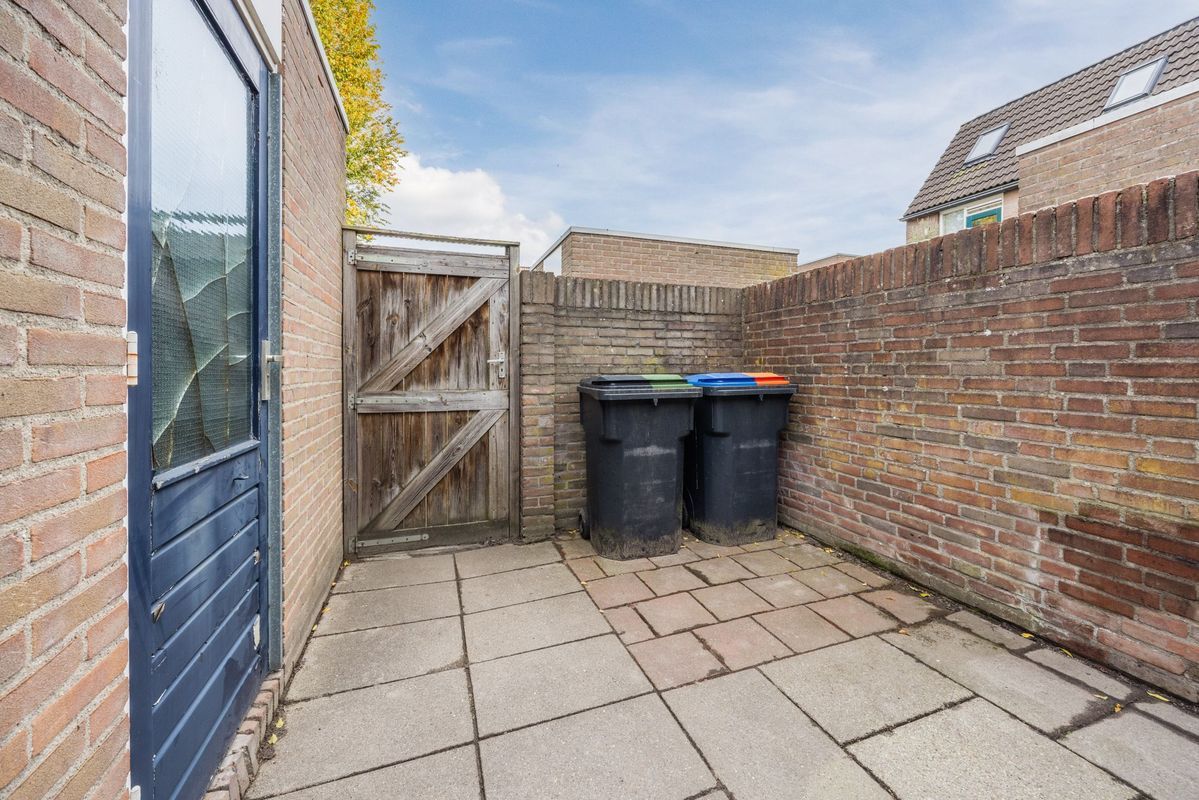 Wijngaard 10 Photo Blur 33