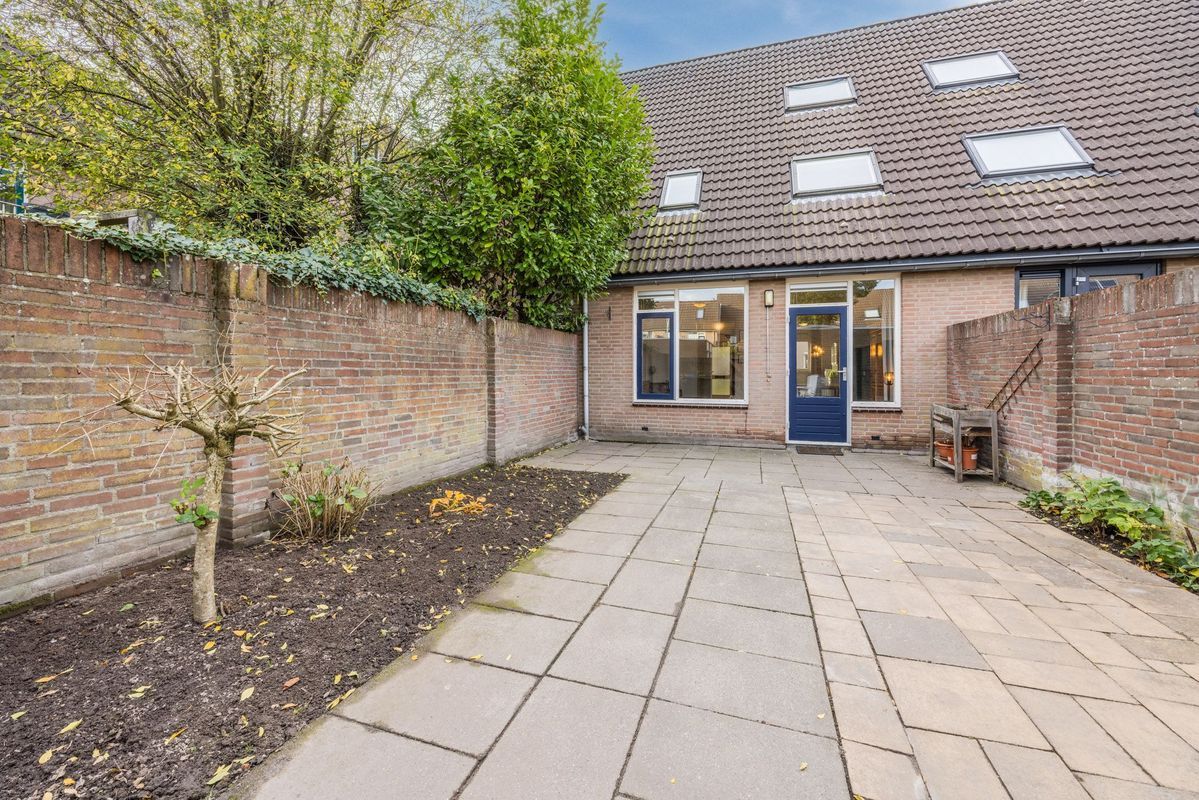 Wijngaard 10 Photo Blur 32