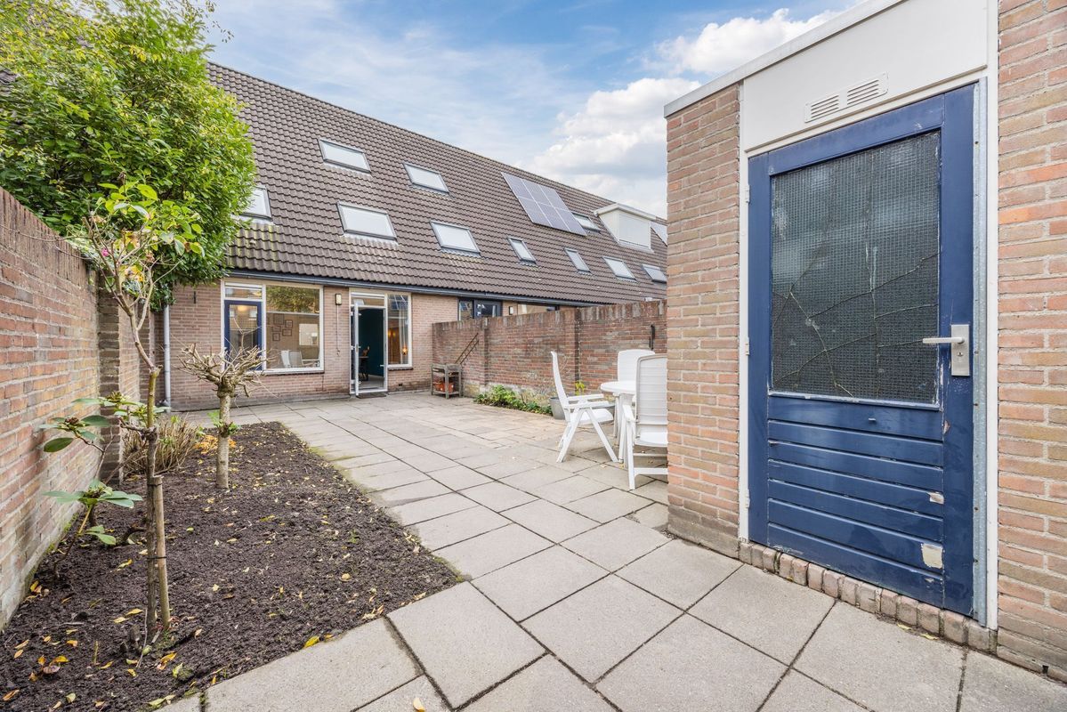 Wijngaard 10 Photo Blur 35