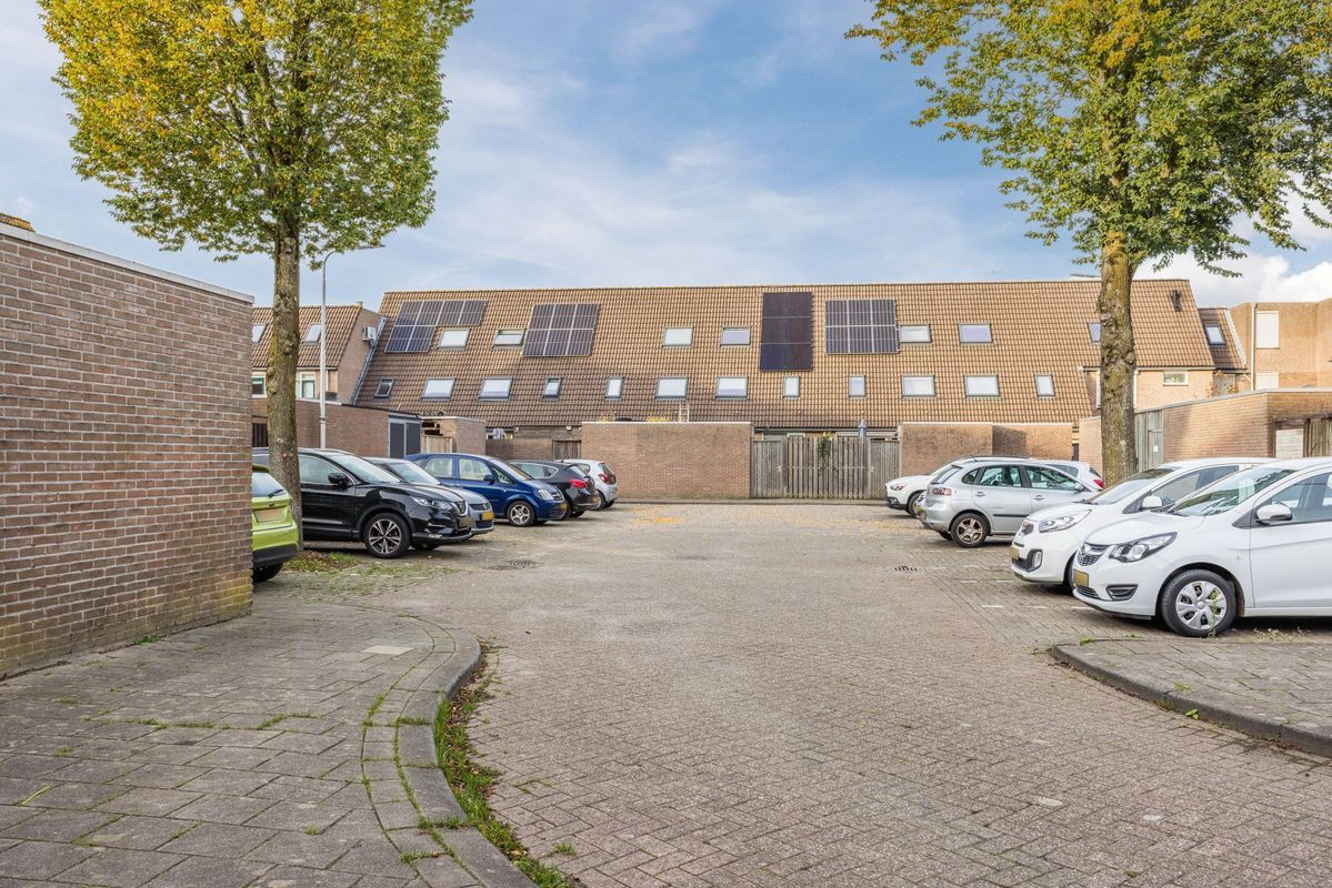 Wijngaard 10 Photo Blur 36