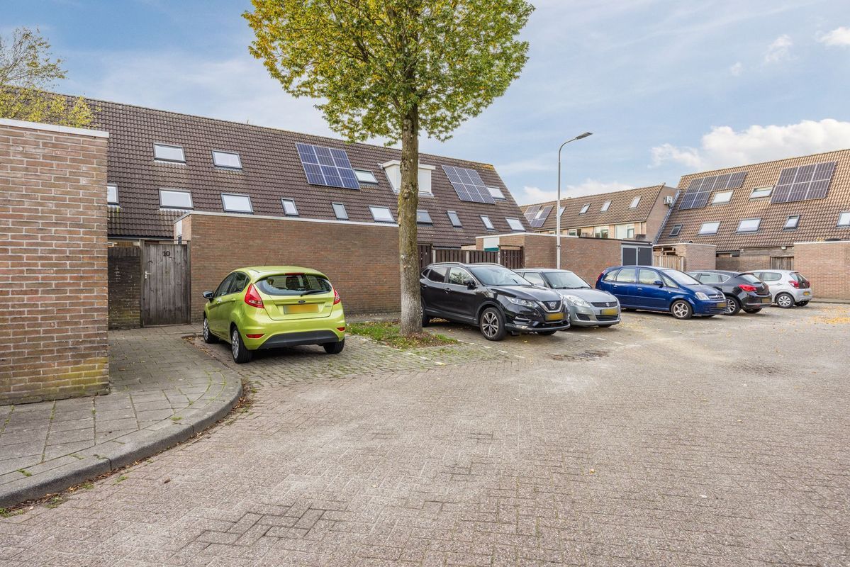 Wijngaard 10 Photo Blur 42