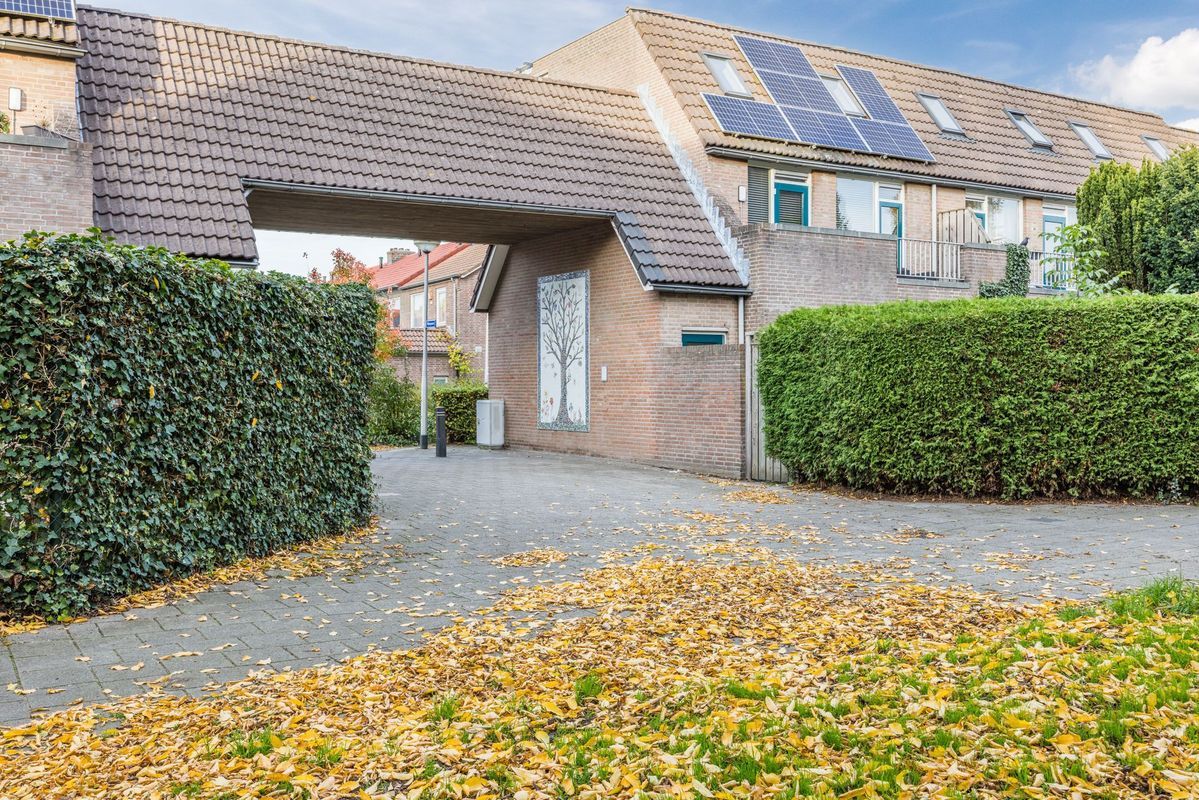 Wijngaard 10 Photo Blur 44