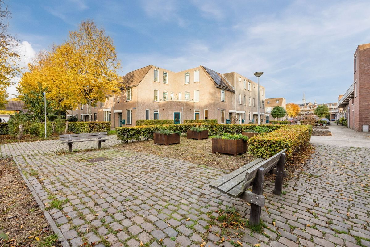 Wijngaard 10 Photo Blur 43