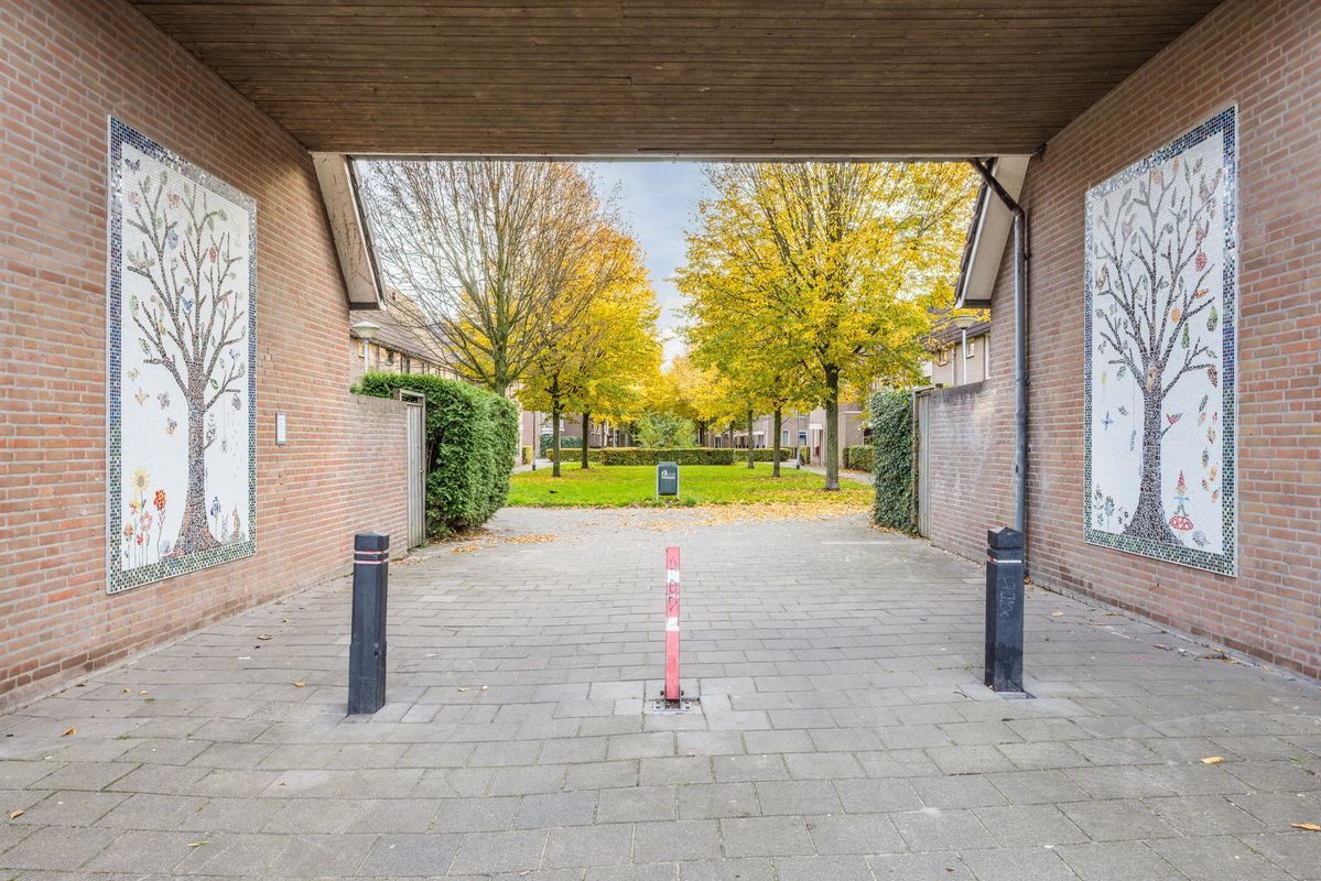 Wijngaard 10 Photo Blur 45