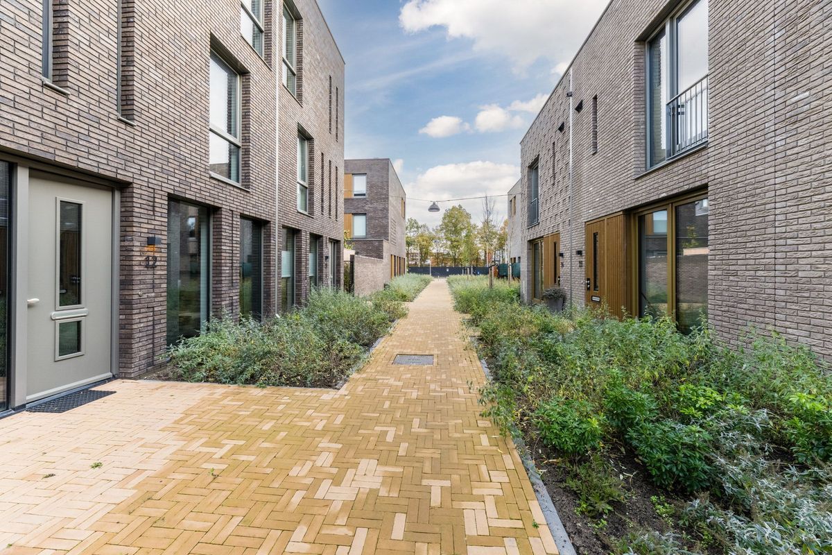 Anton Ebbenhof 12 Photo Blur 38