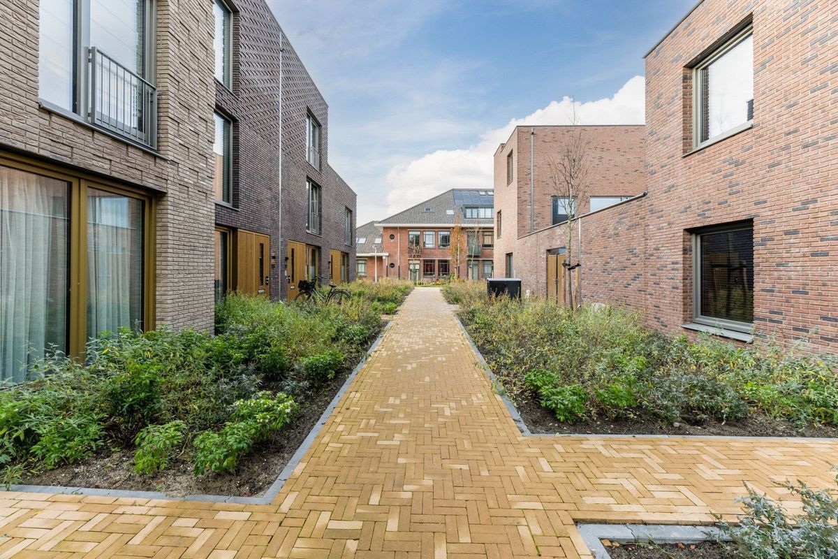 Anton Ebbenhof 12 Photo Blur 39