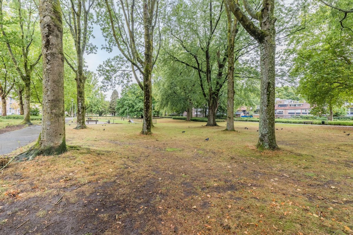 Postelse Hoeflaan 254 Photo Blur 4