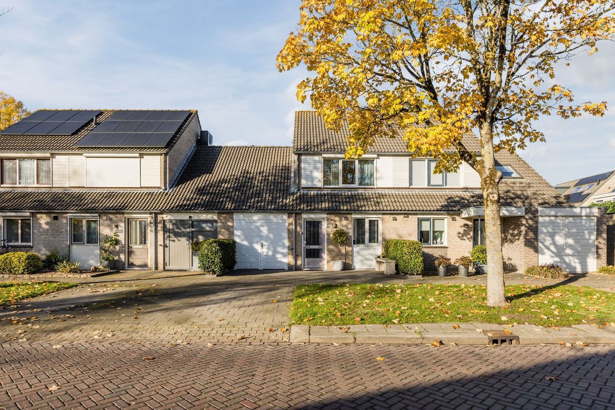 van Heinsbergstraat 83 Photo Blur 46