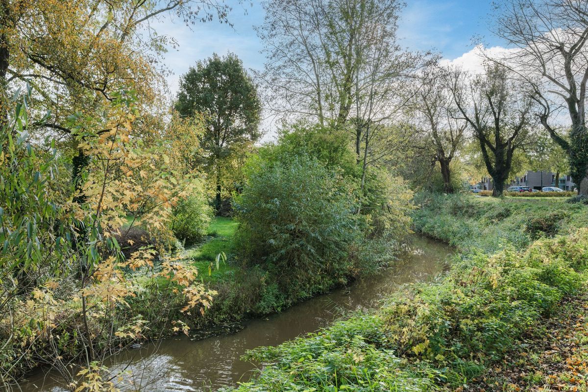 Wielstraat 48 Photo Blur 31