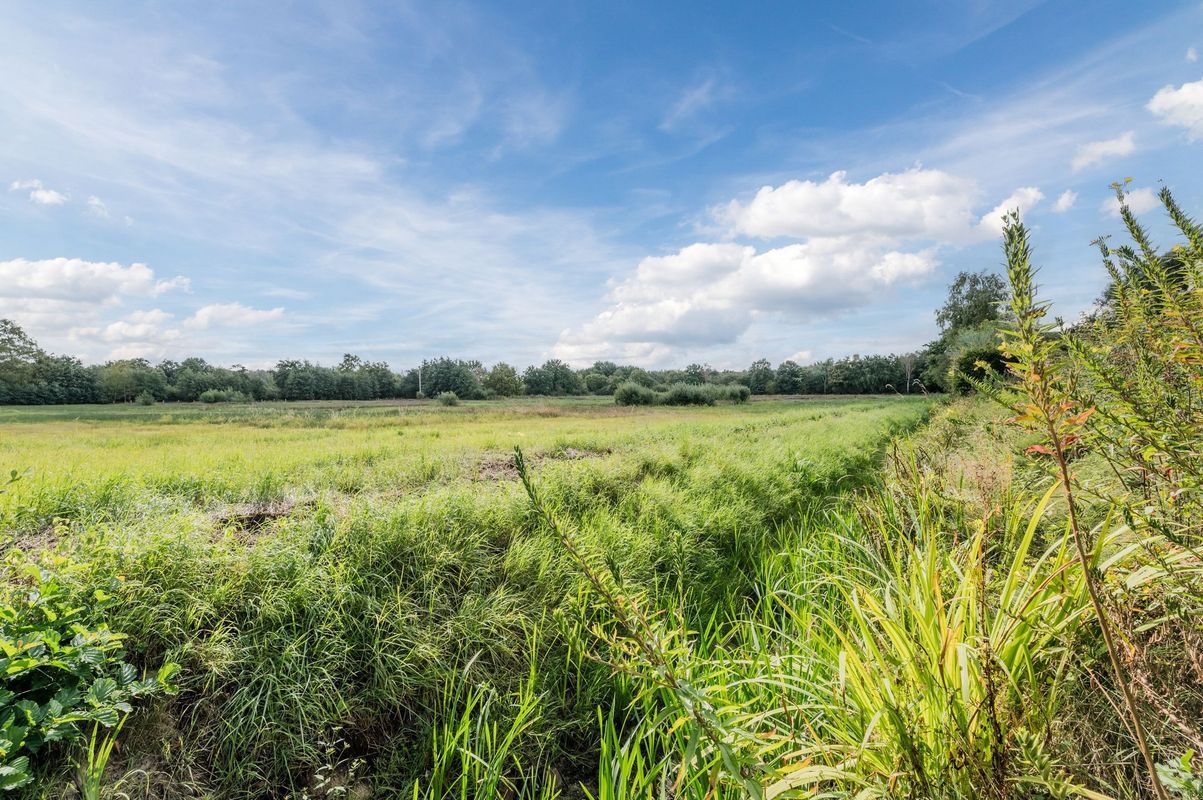 Bunderkensven 54 Photo Blur 87