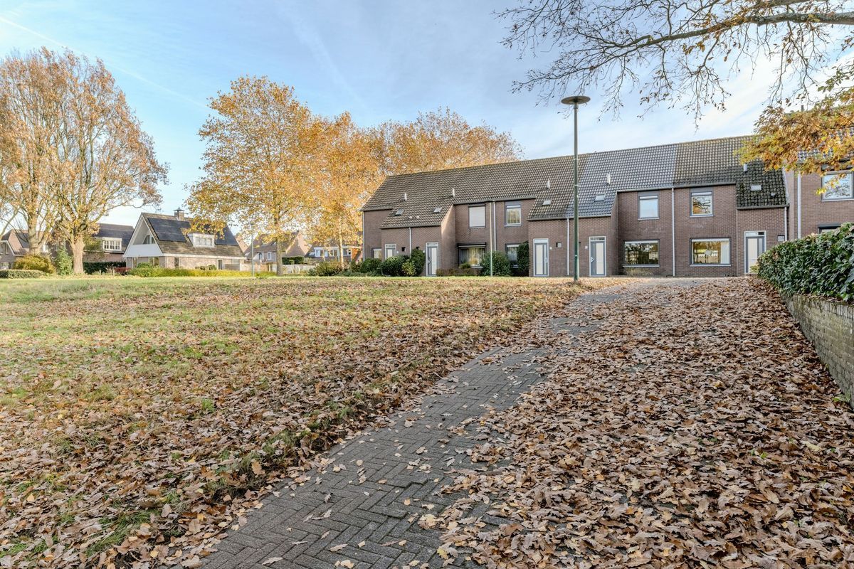 Jagersveld 9 Photo Blur 34