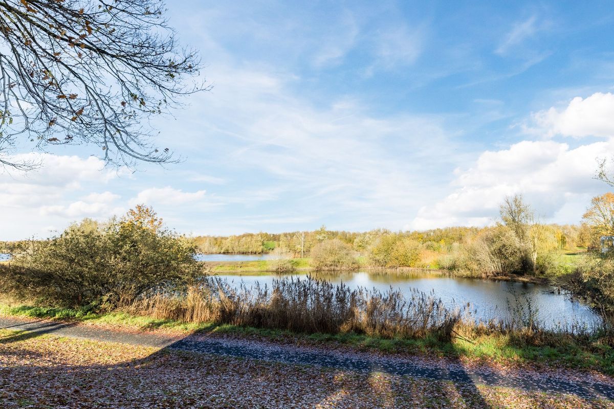 Jachtveld 12 Photo Blur 42