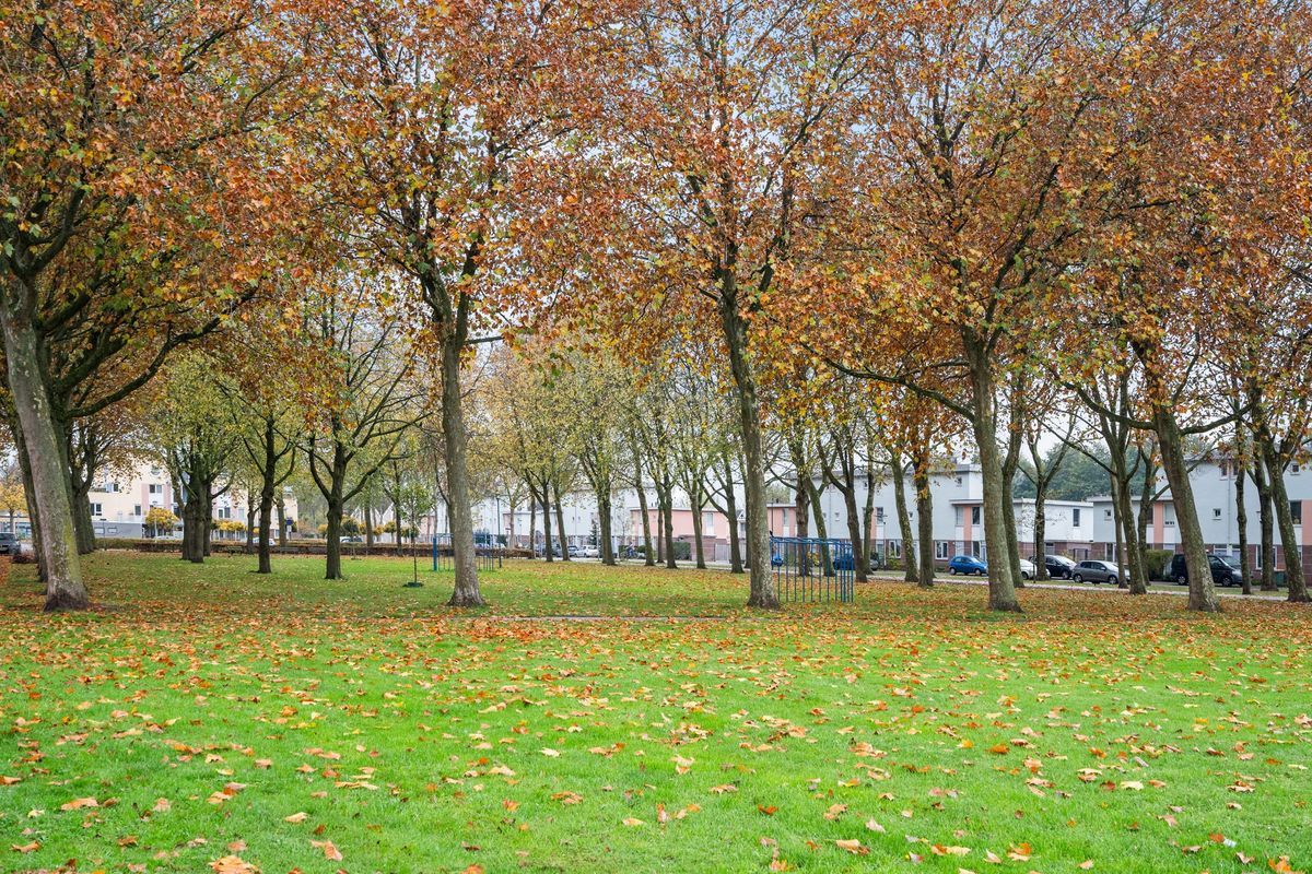 Heksenwiellaan 233 Photo Blur 34