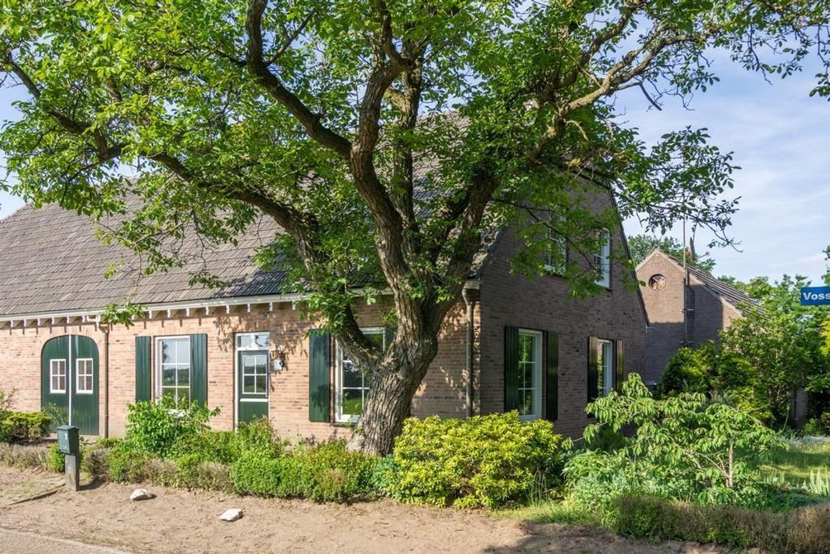 Vossenberg 2 Photo Blur 4