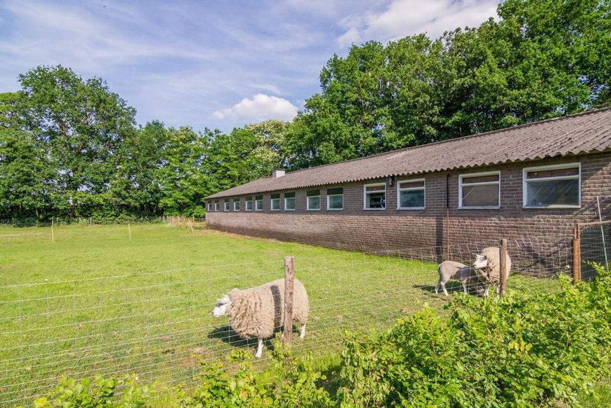 Vossenberg 2 Photo Blur 32