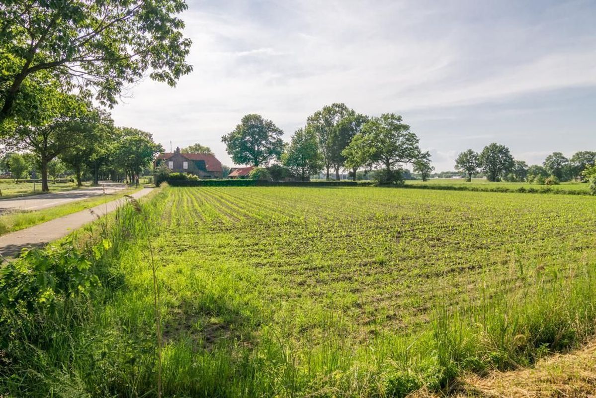 Vossenberg 2 Photo Blur 38